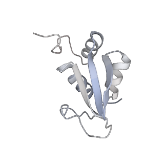 16052_8bhf_L3_v1-2
Cryo-EM structure of stalled rabbit 80S ribosomes in complex with human CCR4-NOT and CNOT4