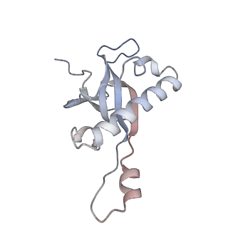 16052_8bhf_M1_v1-2
Cryo-EM structure of stalled rabbit 80S ribosomes in complex with human CCR4-NOT and CNOT4