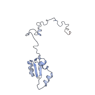 16052_8bhf_N1_v1-2
Cryo-EM structure of stalled rabbit 80S ribosomes in complex with human CCR4-NOT and CNOT4