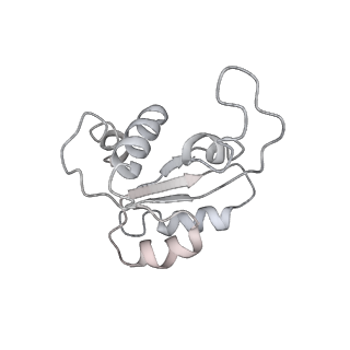 16052_8bhf_N3_v1-2
Cryo-EM structure of stalled rabbit 80S ribosomes in complex with human CCR4-NOT and CNOT4