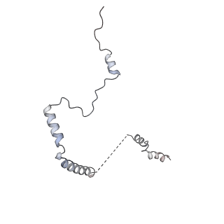 16052_8bhf_O1_v1-2
Cryo-EM structure of stalled rabbit 80S ribosomes in complex with human CCR4-NOT and CNOT4