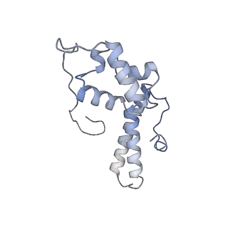 16052_8bhf_O3_v1-2
Cryo-EM structure of stalled rabbit 80S ribosomes in complex with human CCR4-NOT and CNOT4