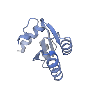16052_8bhf_P1_v1-2
Cryo-EM structure of stalled rabbit 80S ribosomes in complex with human CCR4-NOT and CNOT4