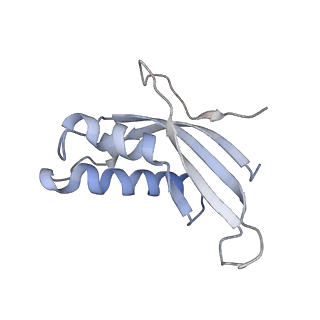 16052_8bhf_Q1_v1-2
Cryo-EM structure of stalled rabbit 80S ribosomes in complex with human CCR4-NOT and CNOT4