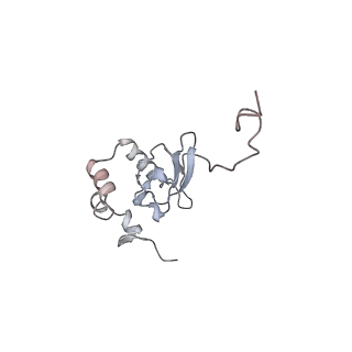 16052_8bhf_Q3_v1-2
Cryo-EM structure of stalled rabbit 80S ribosomes in complex with human CCR4-NOT and CNOT4