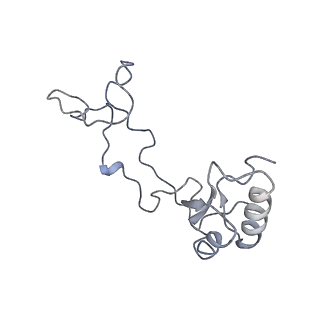 16052_8bhf_R1_v1-2
Cryo-EM structure of stalled rabbit 80S ribosomes in complex with human CCR4-NOT and CNOT4