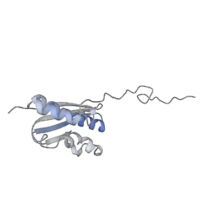 16052_8bhf_R3_v1-2
Cryo-EM structure of stalled rabbit 80S ribosomes in complex with human CCR4-NOT and CNOT4
