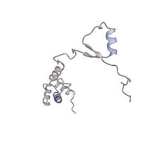 16052_8bhf_S3_v1-2
Cryo-EM structure of stalled rabbit 80S ribosomes in complex with human CCR4-NOT and CNOT4