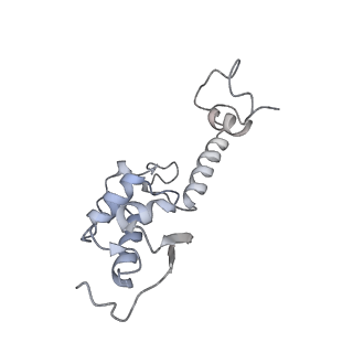 16052_8bhf_T3_v1-2
Cryo-EM structure of stalled rabbit 80S ribosomes in complex with human CCR4-NOT and CNOT4