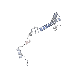 16052_8bhf_U1_v1-2
Cryo-EM structure of stalled rabbit 80S ribosomes in complex with human CCR4-NOT and CNOT4