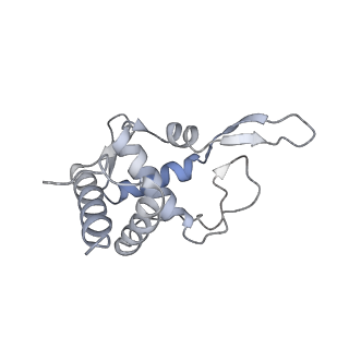 16052_8bhf_U3_v1-2
Cryo-EM structure of stalled rabbit 80S ribosomes in complex with human CCR4-NOT and CNOT4