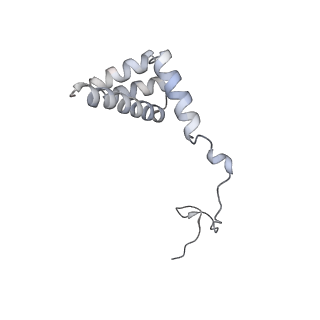 16052_8bhf_V1_v1-2
Cryo-EM structure of stalled rabbit 80S ribosomes in complex with human CCR4-NOT and CNOT4