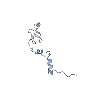 16052_8bhf_W1_v1-2
Cryo-EM structure of stalled rabbit 80S ribosomes in complex with human CCR4-NOT and CNOT4