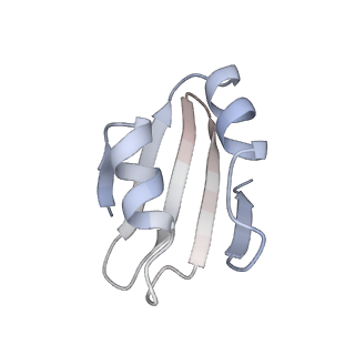 16052_8bhf_X1_v1-2
Cryo-EM structure of stalled rabbit 80S ribosomes in complex with human CCR4-NOT and CNOT4