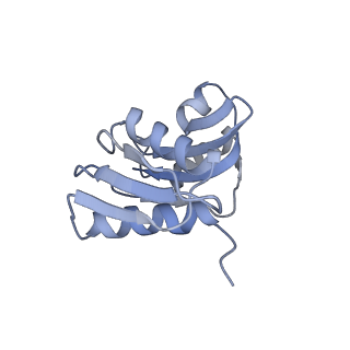 16052_8bhf_X3_v1-2
Cryo-EM structure of stalled rabbit 80S ribosomes in complex with human CCR4-NOT and CNOT4