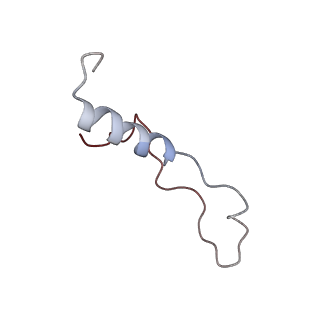 16052_8bhf_Y1_v1-2
Cryo-EM structure of stalled rabbit 80S ribosomes in complex with human CCR4-NOT and CNOT4