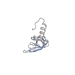 16052_8bhf_Y3_v1-2
Cryo-EM structure of stalled rabbit 80S ribosomes in complex with human CCR4-NOT and CNOT4