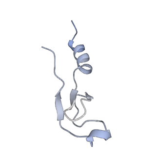 16052_8bhf_Z1_v1-2
Cryo-EM structure of stalled rabbit 80S ribosomes in complex with human CCR4-NOT and CNOT4