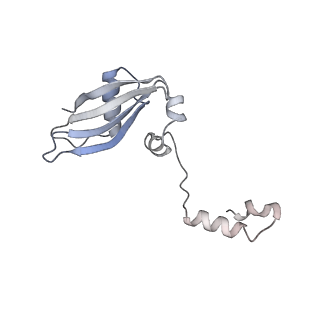 16052_8bhf_Z3_v1-2
Cryo-EM structure of stalled rabbit 80S ribosomes in complex with human CCR4-NOT and CNOT4