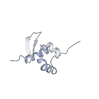 16052_8bhf_a3_v1-2
Cryo-EM structure of stalled rabbit 80S ribosomes in complex with human CCR4-NOT and CNOT4