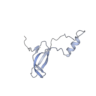 16052_8bhf_b1_v1-2
Cryo-EM structure of stalled rabbit 80S ribosomes in complex with human CCR4-NOT and CNOT4