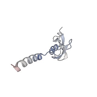 16052_8bhf_c1_v1-2
Cryo-EM structure of stalled rabbit 80S ribosomes in complex with human CCR4-NOT and CNOT4