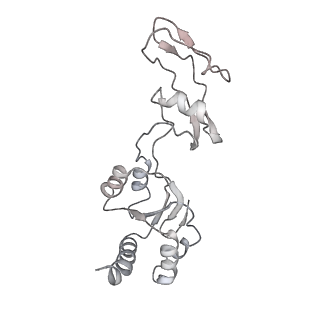 16052_8bhf_e1_v1-2
Cryo-EM structure of stalled rabbit 80S ribosomes in complex with human CCR4-NOT and CNOT4