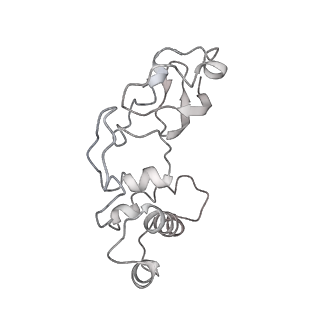 16052_8bhf_f1_v1-2
Cryo-EM structure of stalled rabbit 80S ribosomes in complex with human CCR4-NOT and CNOT4