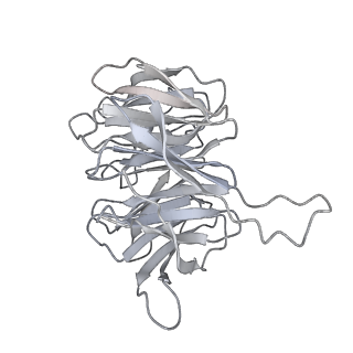 16052_8bhf_h3_v1-2
Cryo-EM structure of stalled rabbit 80S ribosomes in complex with human CCR4-NOT and CNOT4