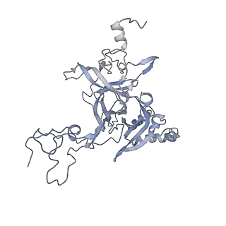 16052_8bhf_k3_v1-2
Cryo-EM structure of stalled rabbit 80S ribosomes in complex with human CCR4-NOT and CNOT4