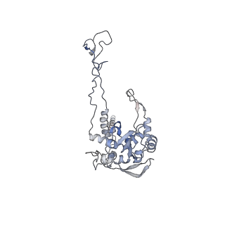 16052_8bhf_l3_v1-2
Cryo-EM structure of stalled rabbit 80S ribosomes in complex with human CCR4-NOT and CNOT4