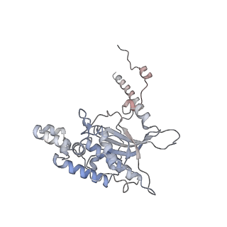 16052_8bhf_m3_v1-2
Cryo-EM structure of stalled rabbit 80S ribosomes in complex with human CCR4-NOT and CNOT4