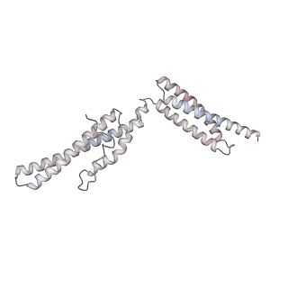 16052_8bhf_n1_v1-2
Cryo-EM structure of stalled rabbit 80S ribosomes in complex with human CCR4-NOT and CNOT4