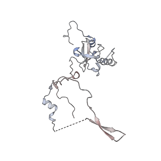 16052_8bhf_n3_v1-2
Cryo-EM structure of stalled rabbit 80S ribosomes in complex with human CCR4-NOT and CNOT4
