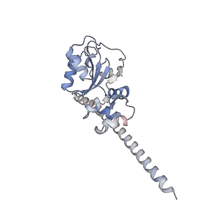 16052_8bhf_o3_v1-2
Cryo-EM structure of stalled rabbit 80S ribosomes in complex with human CCR4-NOT and CNOT4