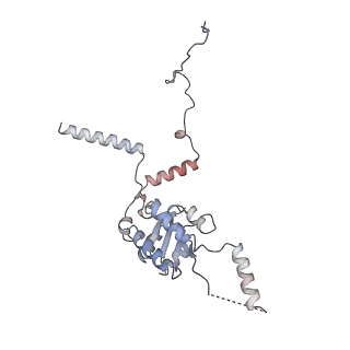 16052_8bhf_p3_v1-2
Cryo-EM structure of stalled rabbit 80S ribosomes in complex with human CCR4-NOT and CNOT4