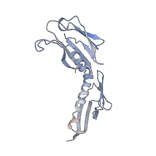 16052_8bhf_q3_v1-2
Cryo-EM structure of stalled rabbit 80S ribosomes in complex with human CCR4-NOT and CNOT4