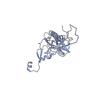 16052_8bhf_r3_v1-2
Cryo-EM structure of stalled rabbit 80S ribosomes in complex with human CCR4-NOT and CNOT4