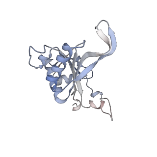 16052_8bhf_s3_v1-2
Cryo-EM structure of stalled rabbit 80S ribosomes in complex with human CCR4-NOT and CNOT4