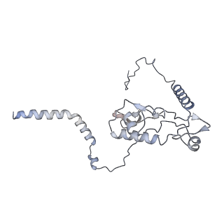 16052_8bhf_t3_v1-2
Cryo-EM structure of stalled rabbit 80S ribosomes in complex with human CCR4-NOT and CNOT4