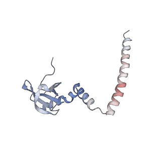 16052_8bhf_u3_v1-2
Cryo-EM structure of stalled rabbit 80S ribosomes in complex with human CCR4-NOT and CNOT4