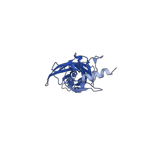 16055_8bhi_A_v1-3
GABA-A receptor a5 homomer - a5V3 - RO5211223