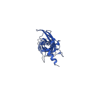 16055_8bhi_B_v1-3
GABA-A receptor a5 homomer - a5V3 - RO5211223