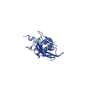 16055_8bhi_D_v1-3
GABA-A receptor a5 homomer - a5V3 - RO5211223