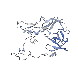 16057_8bhj_A_v1-0
Elongating E. coli 70S ribosome containing deacylated tRNA(iMet) in the P-site and Am6AA mRNA codon with cognate dipeptidyl-tRNA(Lys) in the A-site