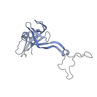 16057_8bhj_B_v1-0
Elongating E. coli 70S ribosome containing deacylated tRNA(iMet) in the P-site and Am6AA mRNA codon with cognate dipeptidyl-tRNA(Lys) in the A-site