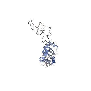 16057_8bhj_C_v1-0
Elongating E. coli 70S ribosome containing deacylated tRNA(iMet) in the P-site and Am6AA mRNA codon with cognate dipeptidyl-tRNA(Lys) in the A-site