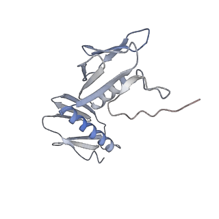 16057_8bhj_E_v1-0
Elongating E. coli 70S ribosome containing deacylated tRNA(iMet) in the P-site and Am6AA mRNA codon with cognate dipeptidyl-tRNA(Lys) in the A-site