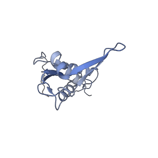 16057_8bhj_G_v1-0
Elongating E. coli 70S ribosome containing deacylated tRNA(iMet) in the P-site and Am6AA mRNA codon with cognate dipeptidyl-tRNA(Lys) in the A-site