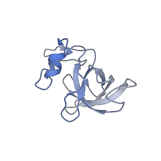 16057_8bhj_H_v1-0
Elongating E. coli 70S ribosome containing deacylated tRNA(iMet) in the P-site and Am6AA mRNA codon with cognate dipeptidyl-tRNA(Lys) in the A-site